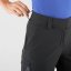 SALOMON Wayfarer Shorts W black