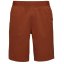 BLACK DIAMOND M Sierra Shorts burnt sienna