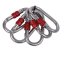 karabína CAMP Oval Standard Lock 5 set