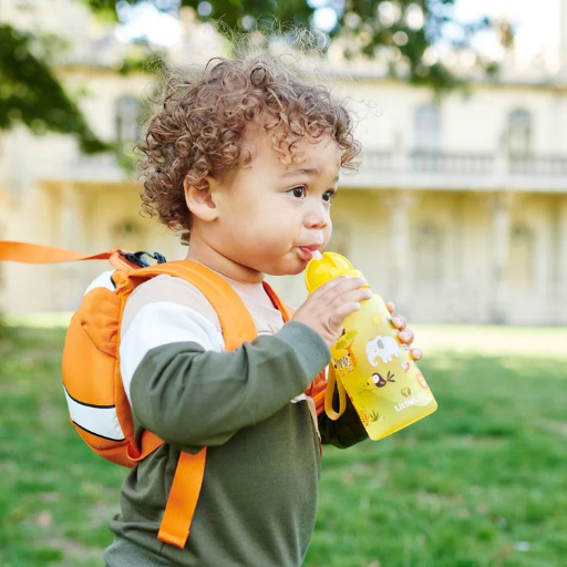 fľaša na vodu LittleLife Water Bottle Safari
