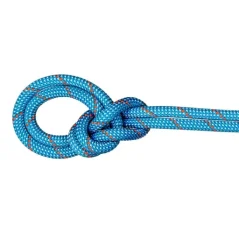 Penjačko uže MAMMUT 9.8 Crag Classic 50m ice-mint/white
