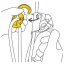 karabína s kladkou PETZL RollClip Z Screw-Lock
