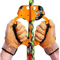 PETZL Ascentree - Double handled rope clamp