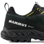 MAMMUT Alnasca IV Low LTH GTX Men gabbro-acacia - Schoenen