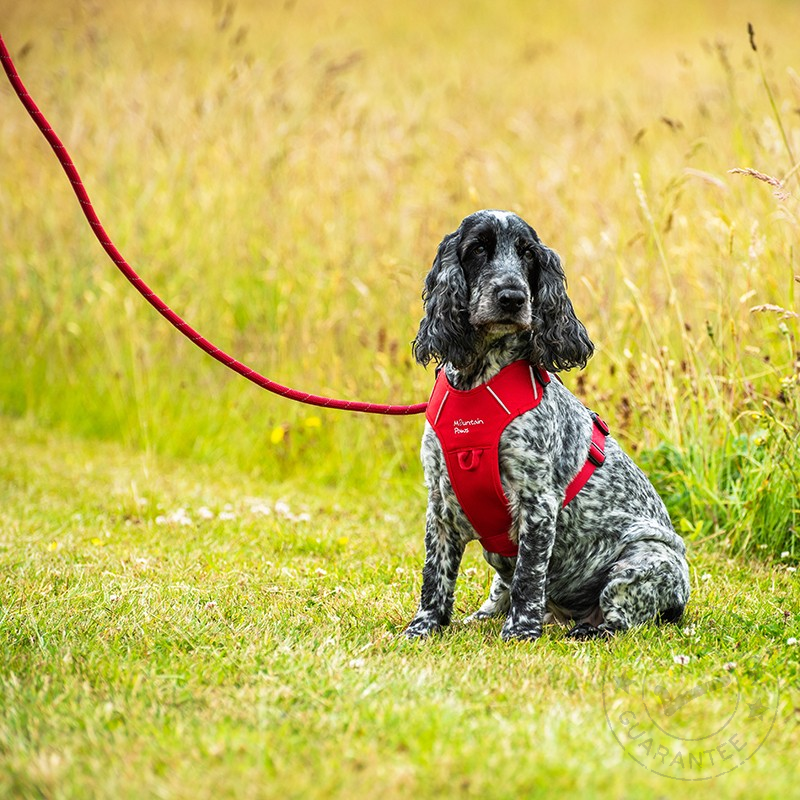 Mountain Paws Dog Harness S red - kutyahám