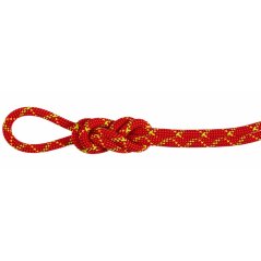 Uže MAMMUT 8.0 Alpine Core Protect Dry 60m fire/halo